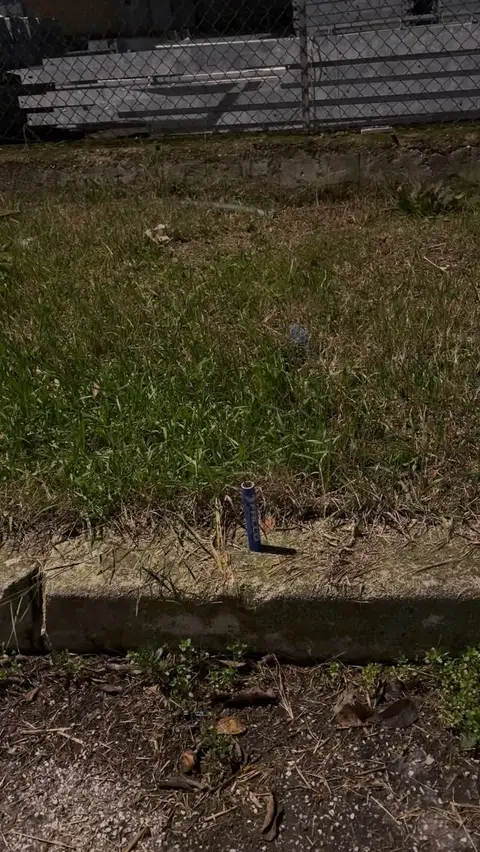 PETARDO FALCO