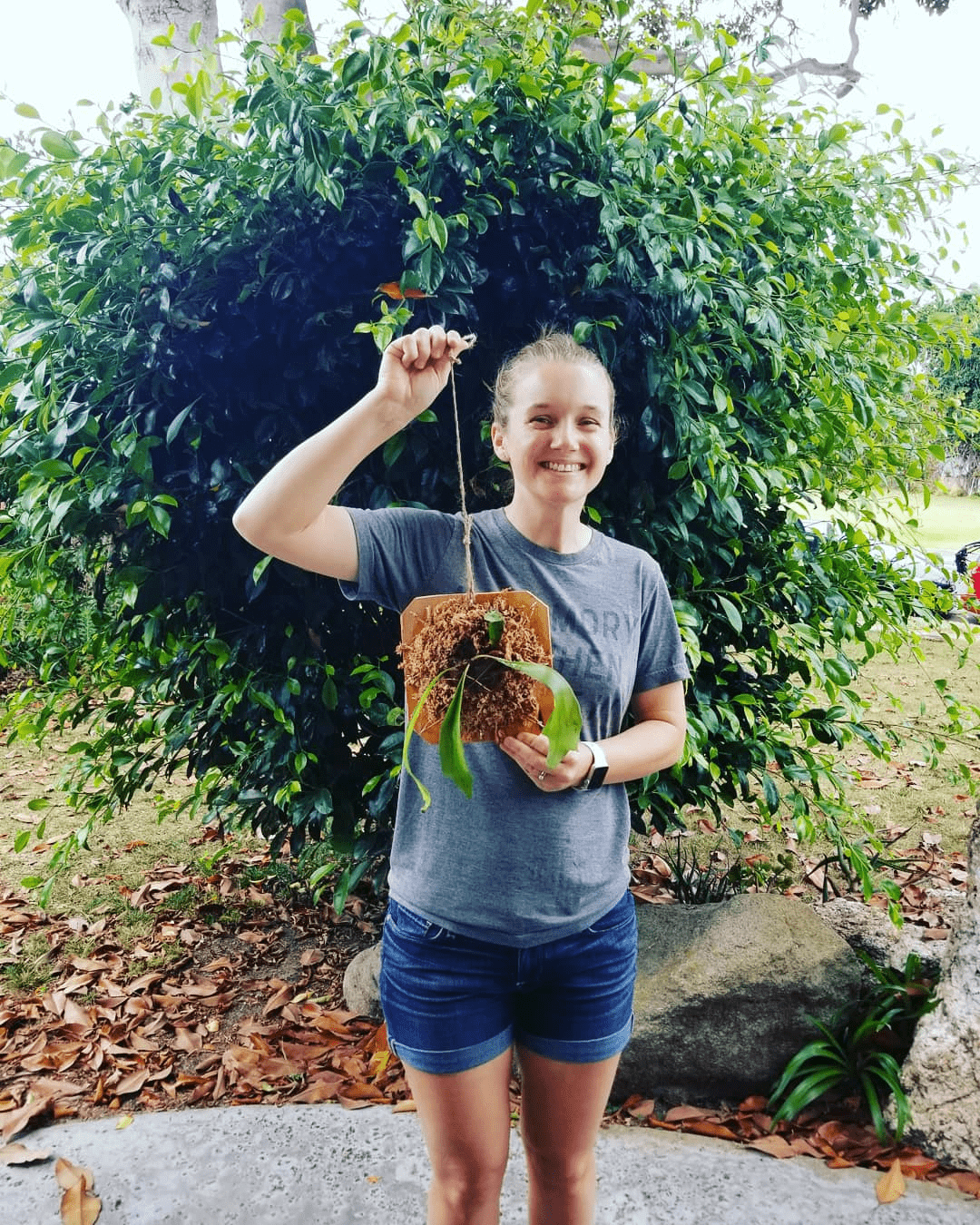 Staghorn Friend