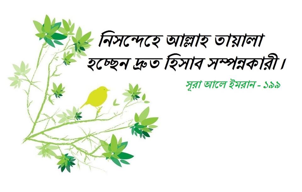 সুলতান মাহমুদের দাড়ি