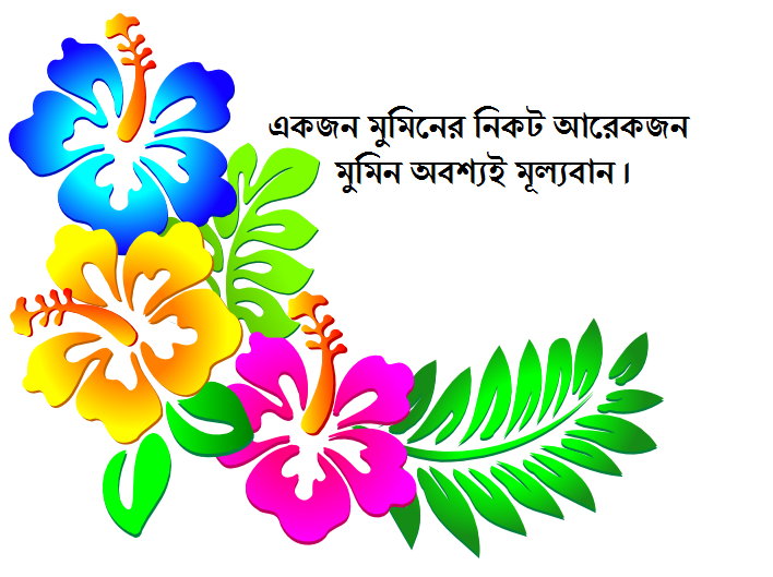 সন্মানের খোঁজে উমারের কাছে