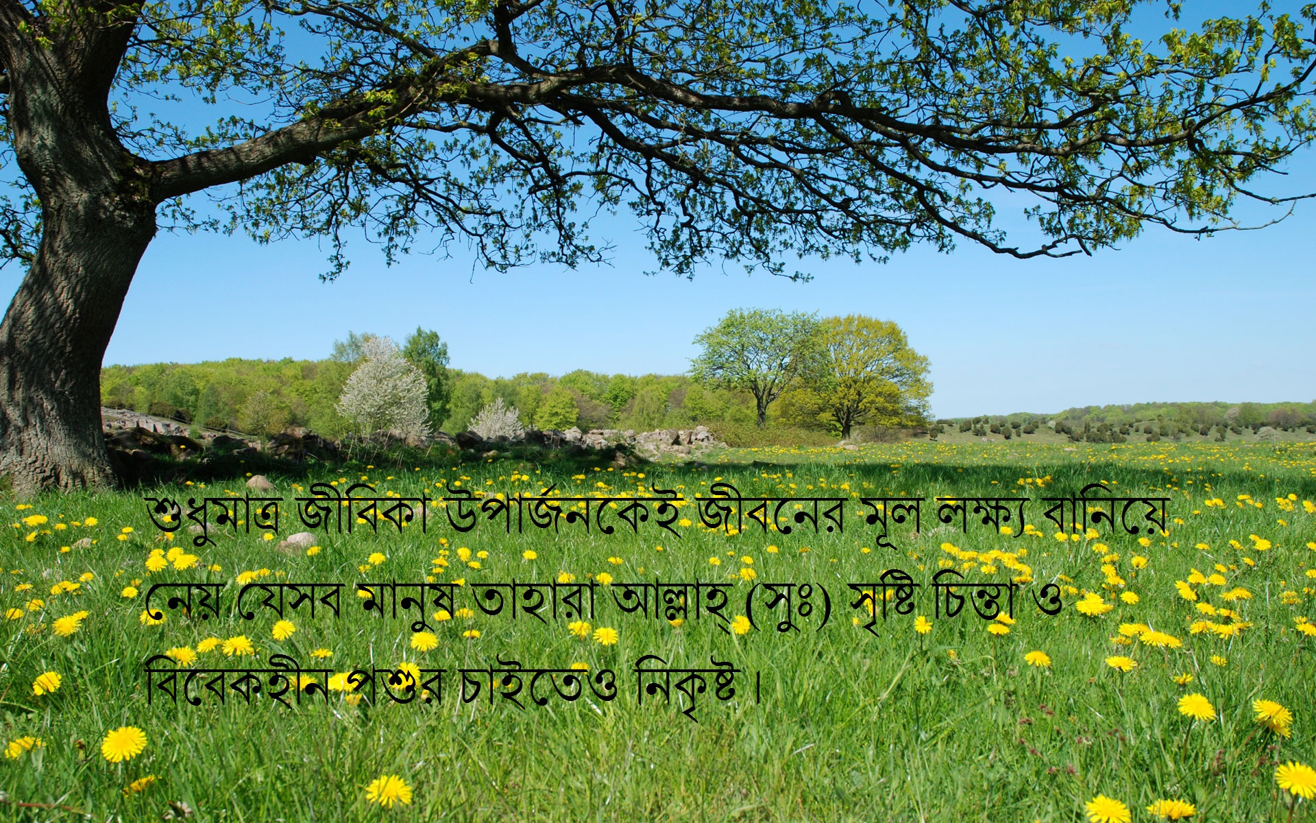 সর্বস্ব হারিয়েও সতীত্ব রক্ষা