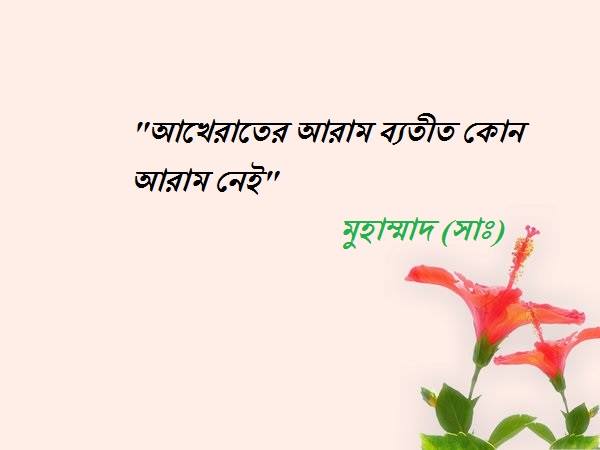 শিক্ষনীয় ঘটনা ও তওবার উপকারিতা!