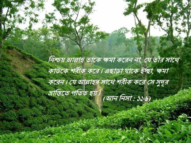 বিচারকের মসনদে হযরত ঊমার (রাঃ)