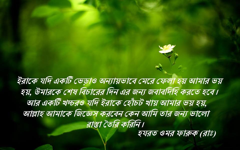 (১৬) আবদুল্লাহ ইবন আব্বাস (রাঃ)