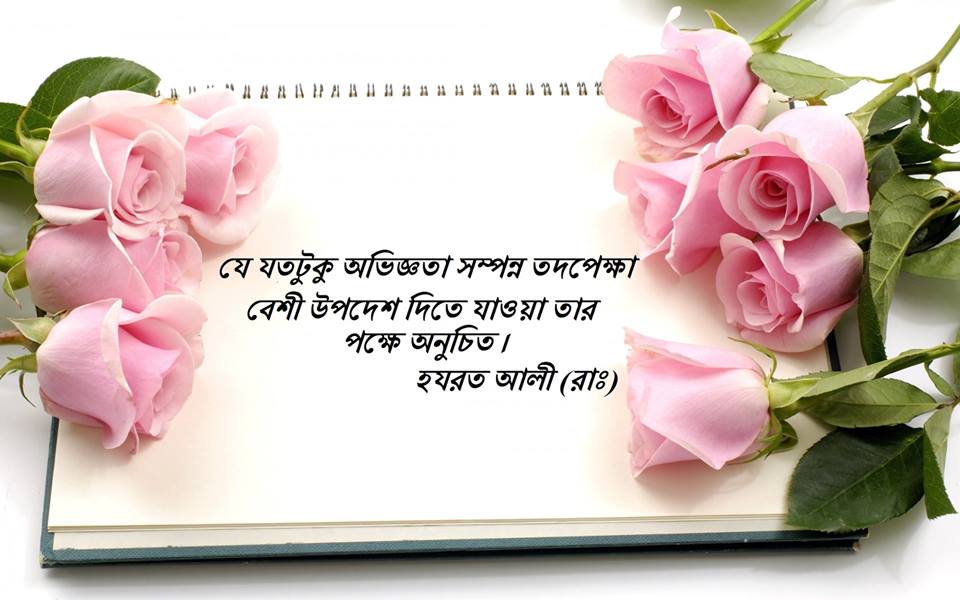 (২৪) তুফাইল ইবন আমর আদ–দাওসী (রাঃ)