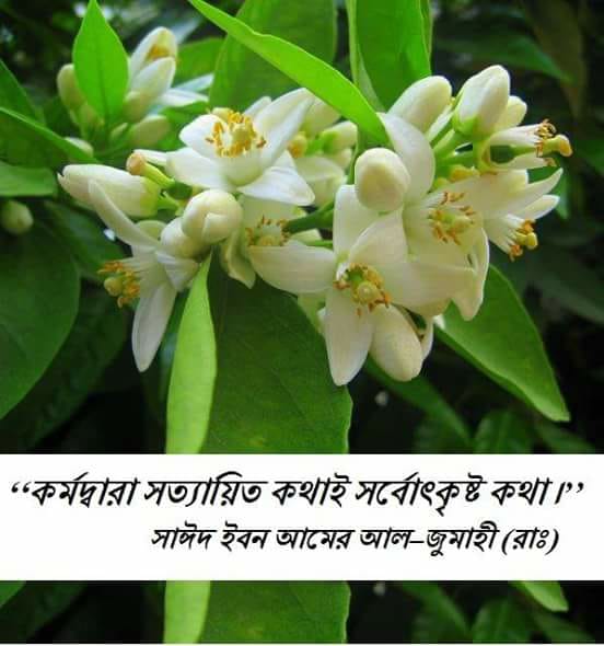 (২৬) সুরাকা ইবন মালিক (রাঃ)