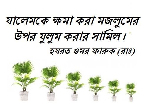 (২৭) ইকরিমা ইবন আবী জাহল (রাঃ)