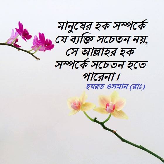 (২৮) মুসয়াব ইবন উমাইর (রাঃ)