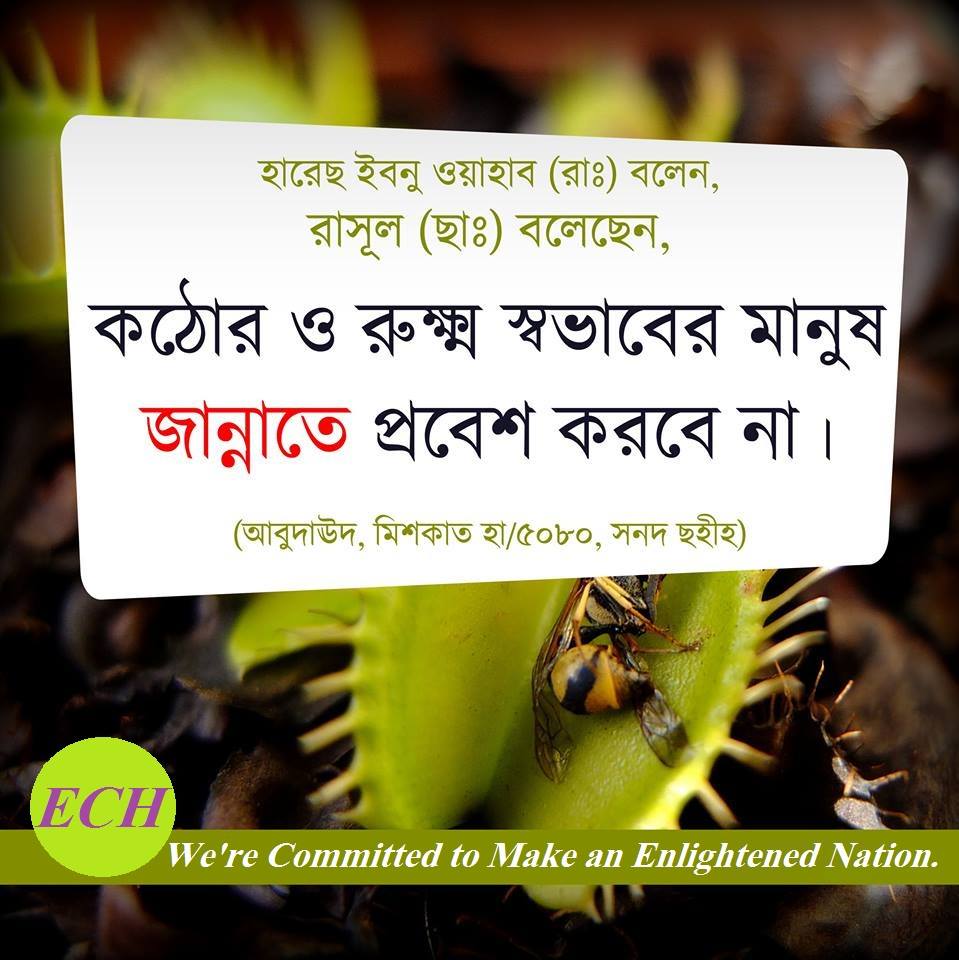 (৫০) শুরাহবীল ইবন হাসানা (রাঃ)
