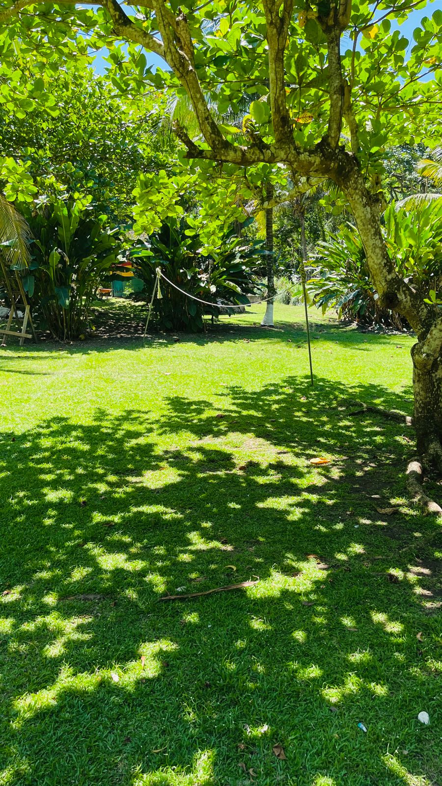 Calby's Hidden Beauty - Image 14