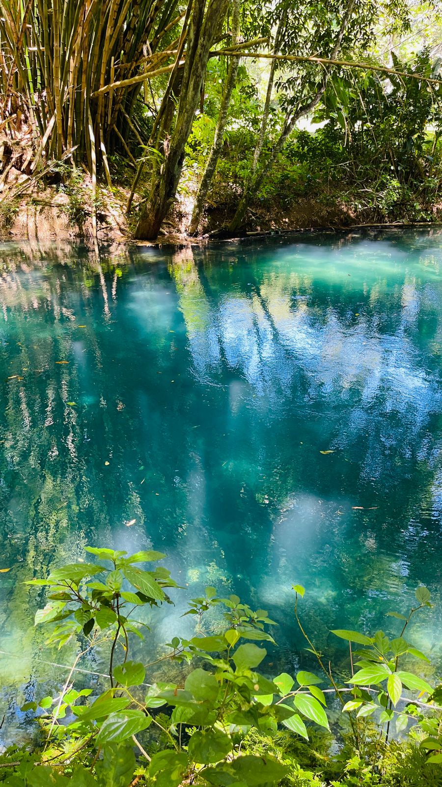 Calby's Hidden Beauty - Image 9