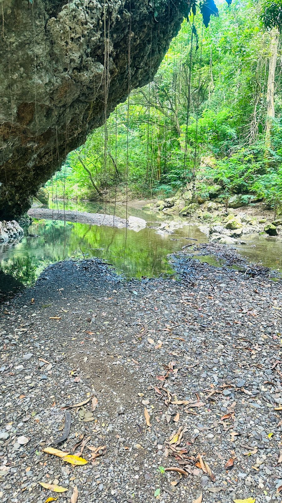 Cudjoe Falls - Image 13