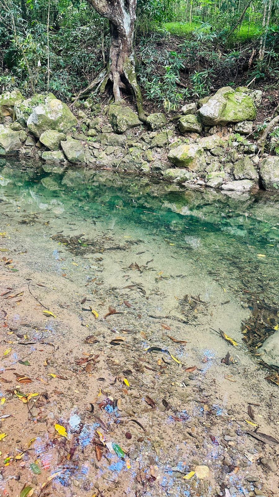 Cudjoe Falls - Image 14