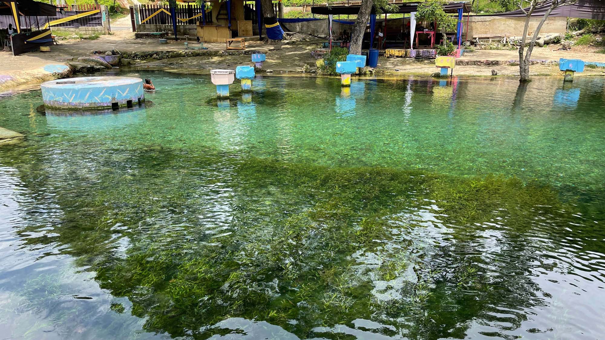 Caymanas River - Image 2