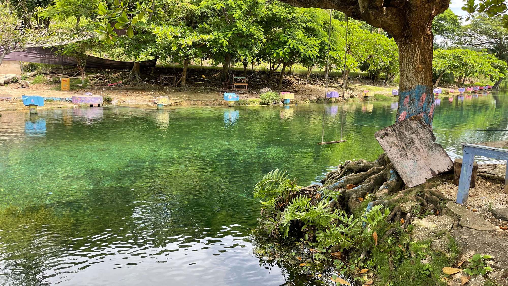 Caymanas River - Image 10