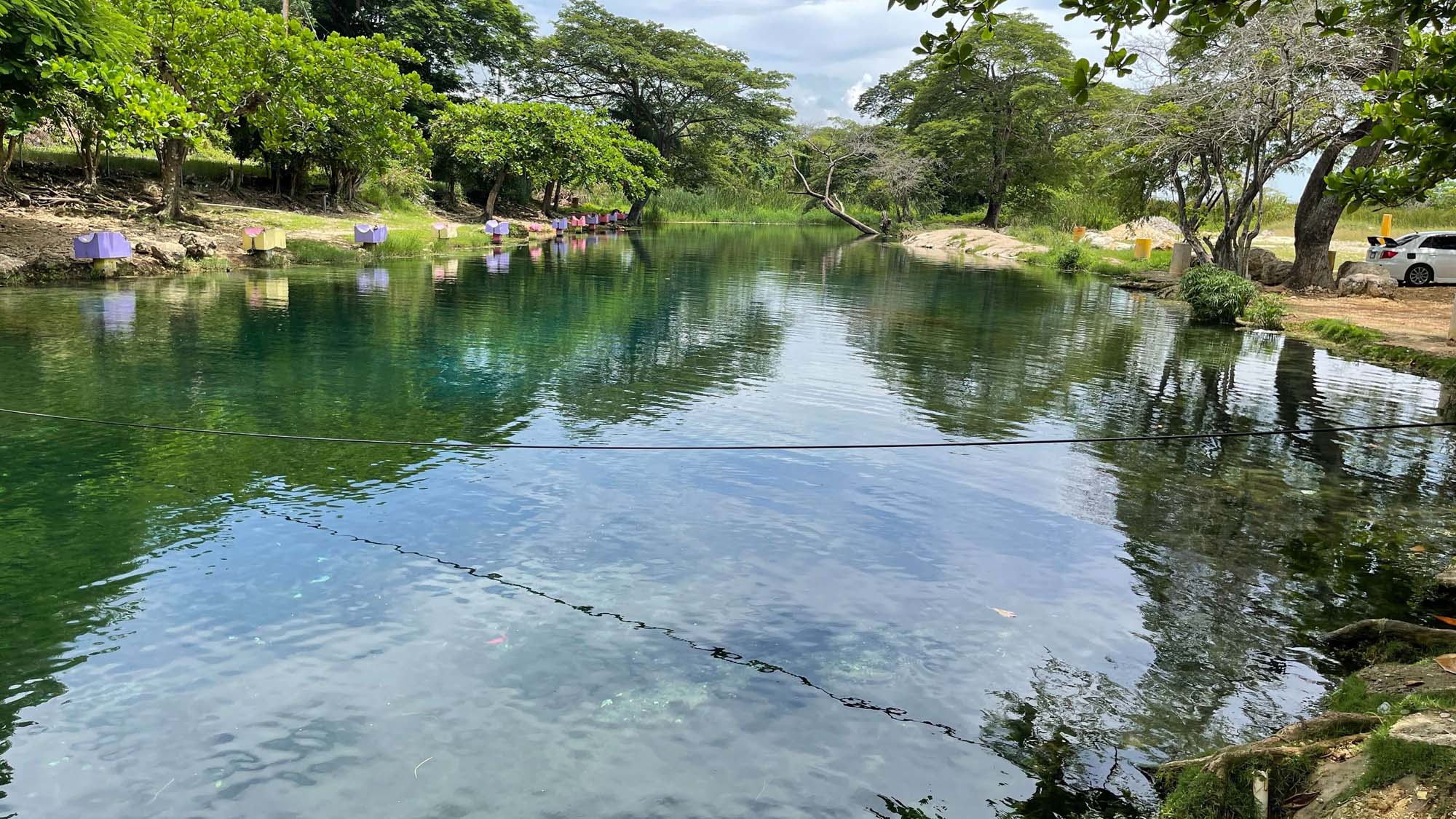 Caymanas River - Image 3
