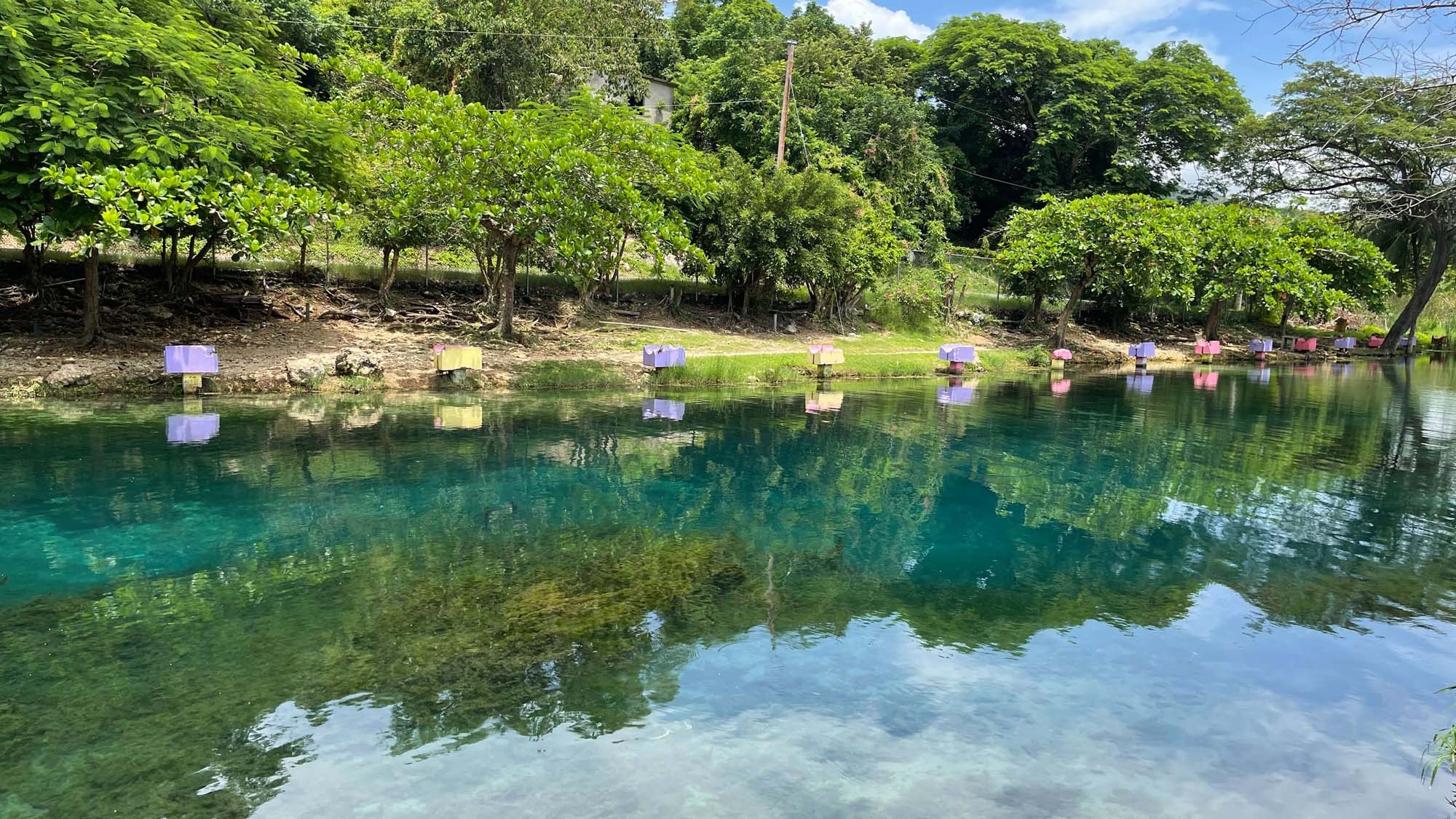 Caymanas River - Image 9