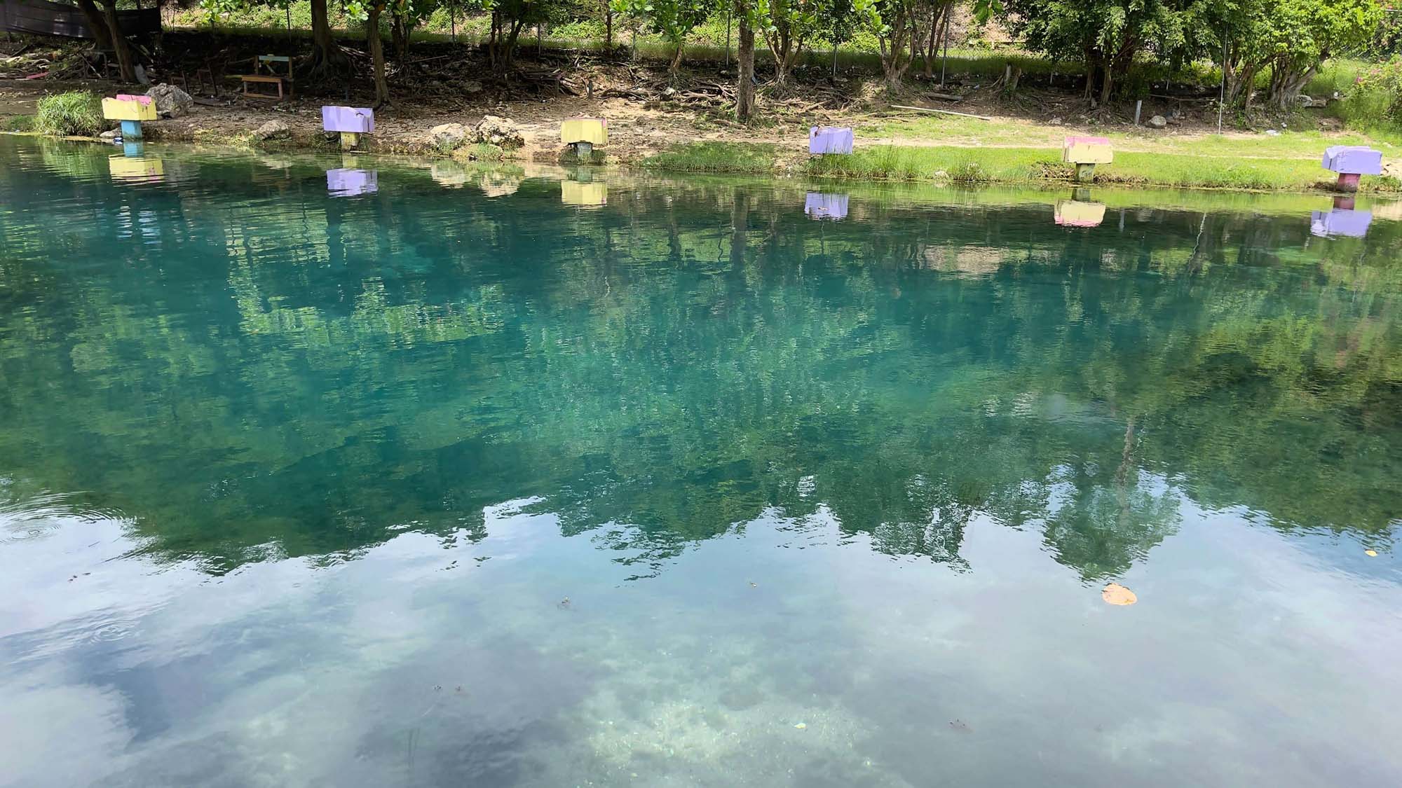 Caymanas River - Image 8