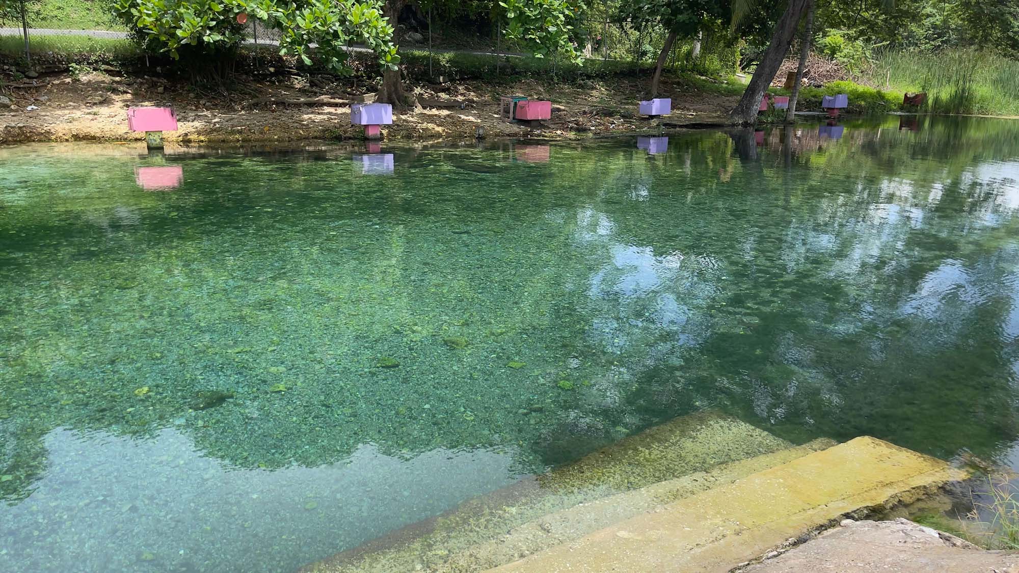 Caymanas River - Image 5