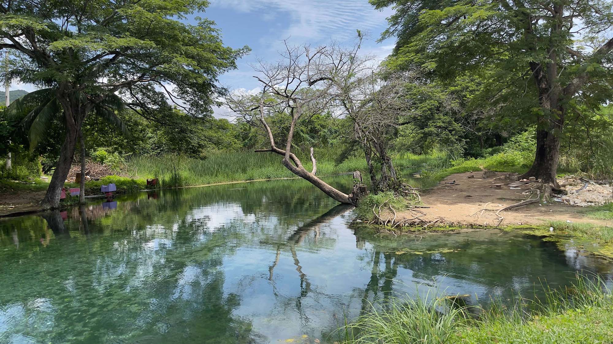 Caymanas River - Image 7