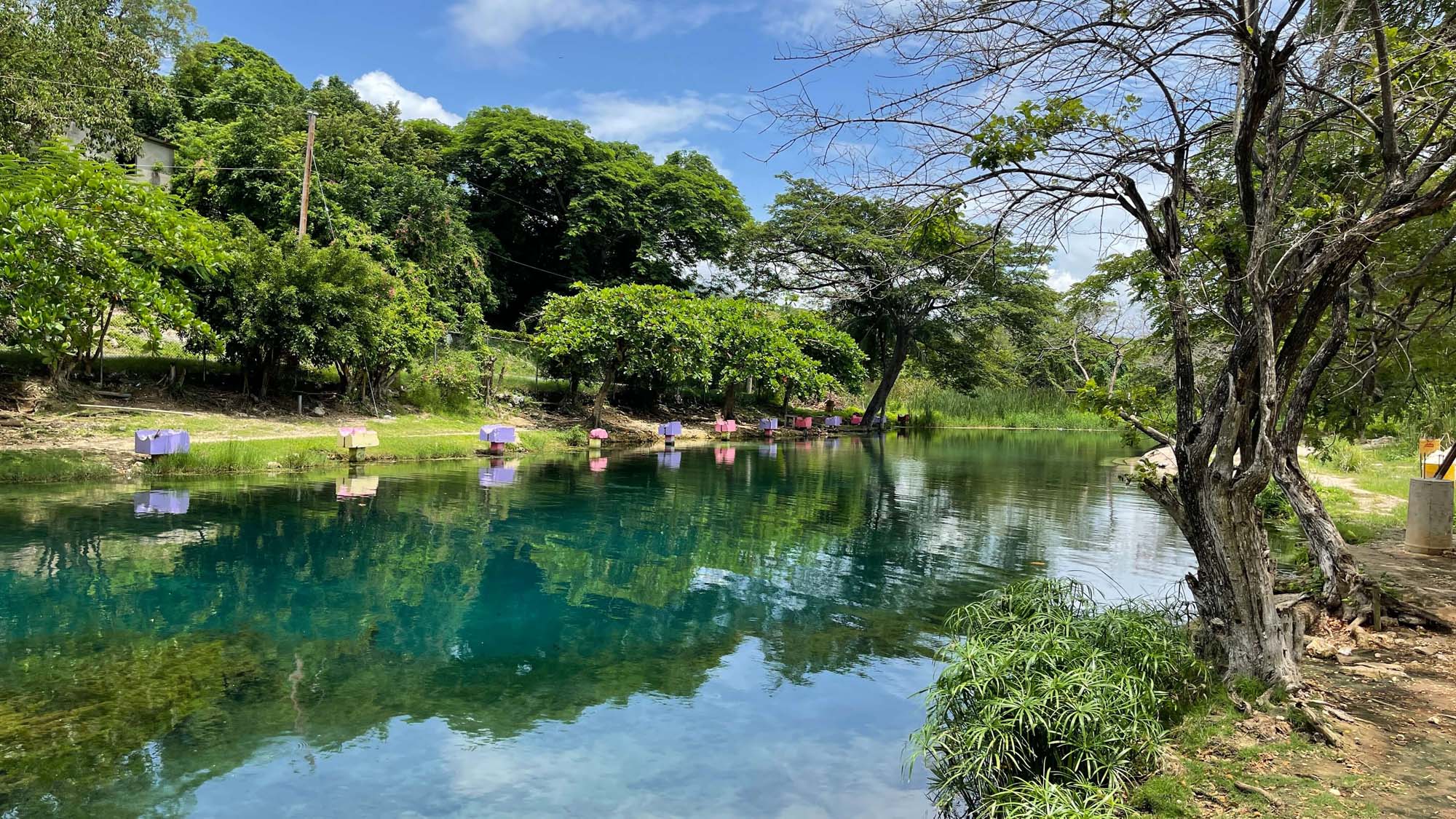Caymanas River