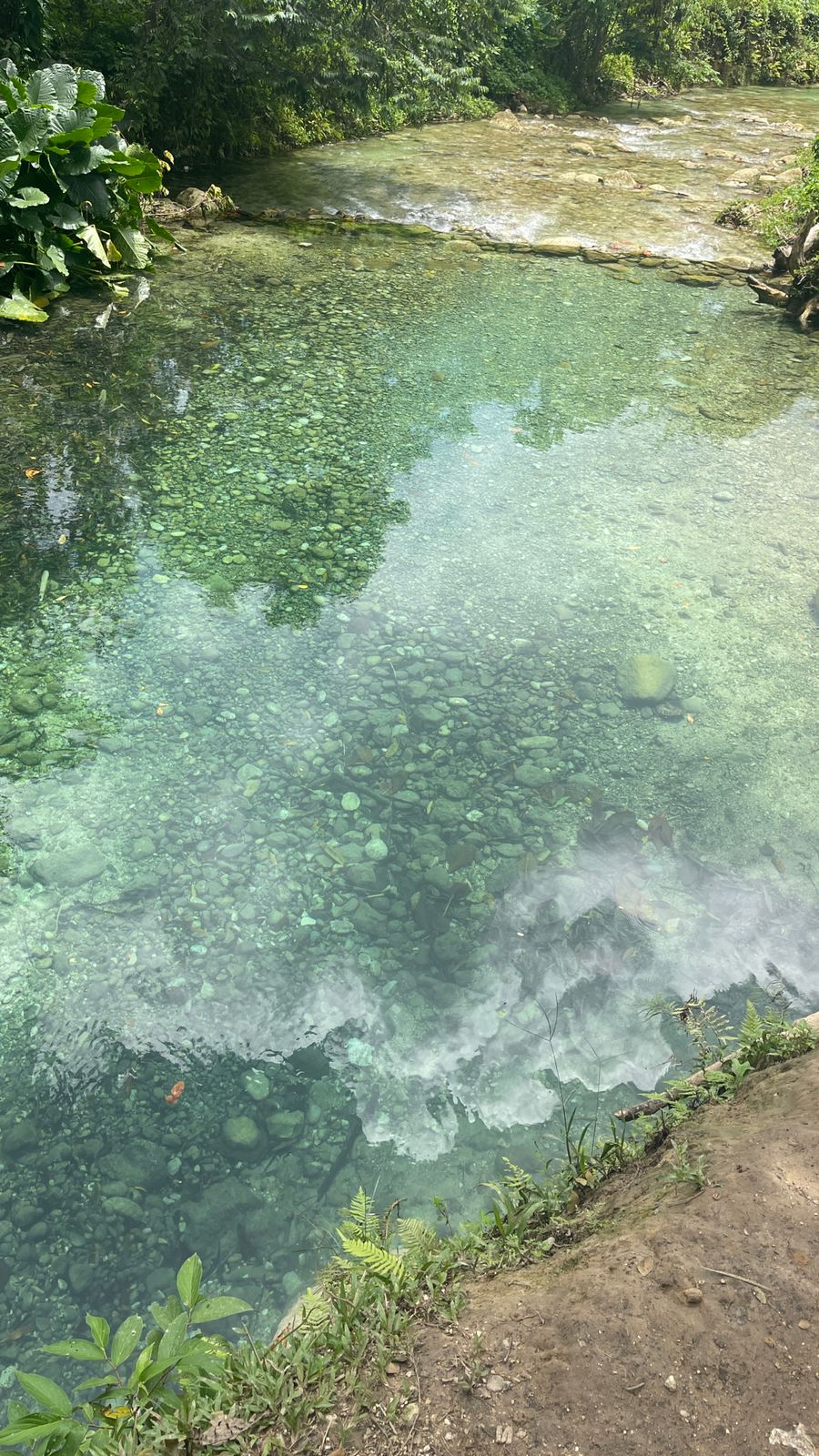 Reach River