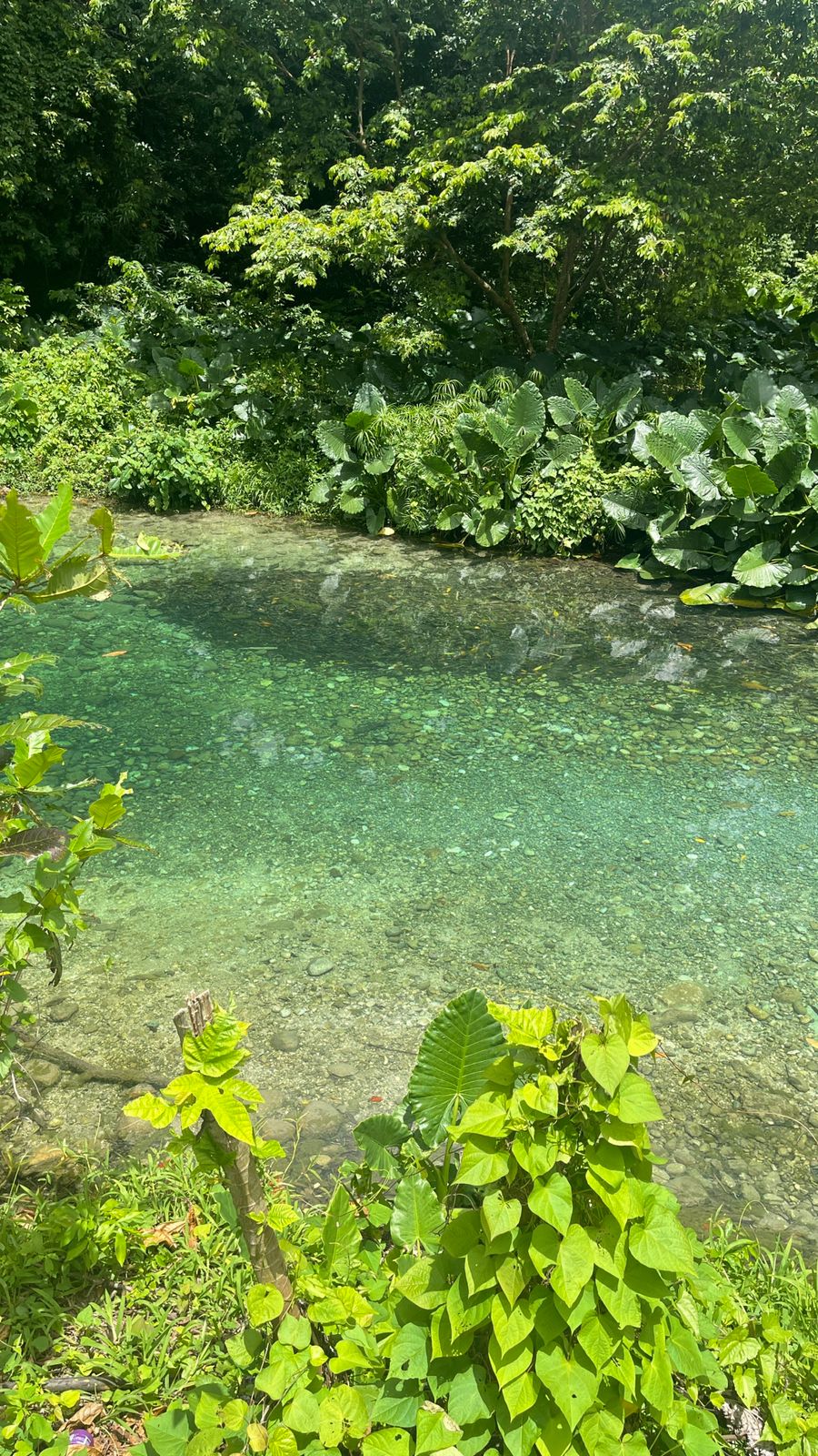 Reach River - Image 2