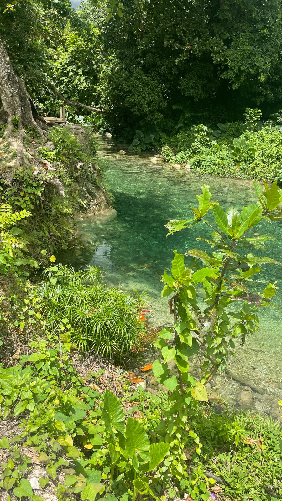 Reach River - Image 4