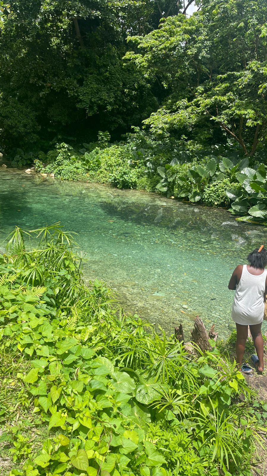 Reach River - Image 5