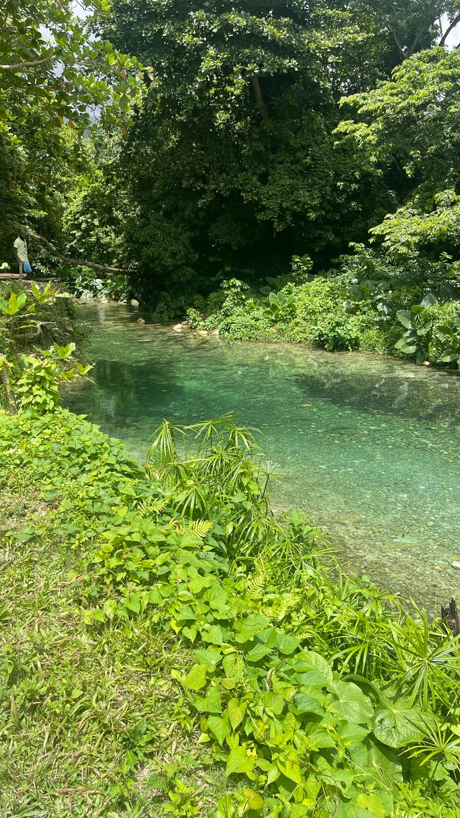 Reach River - Image 6