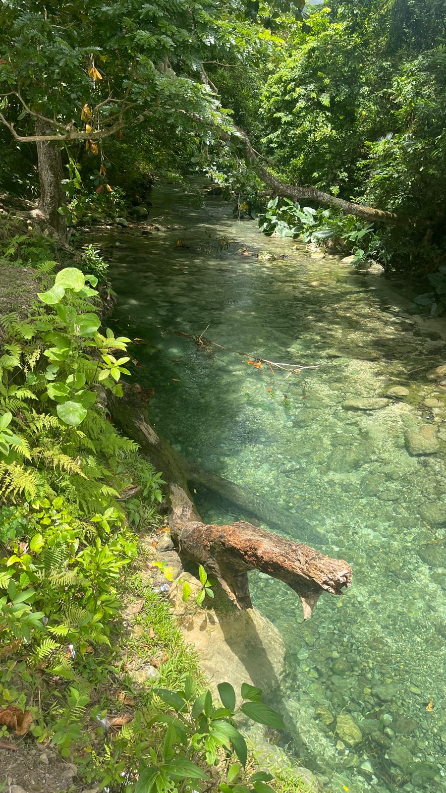 Reach River - Image 7