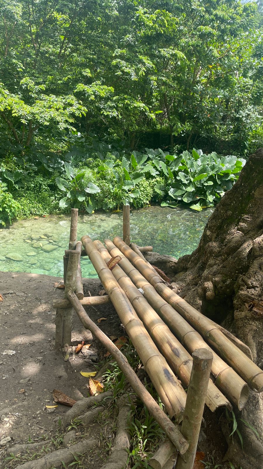Reach River - Image 9