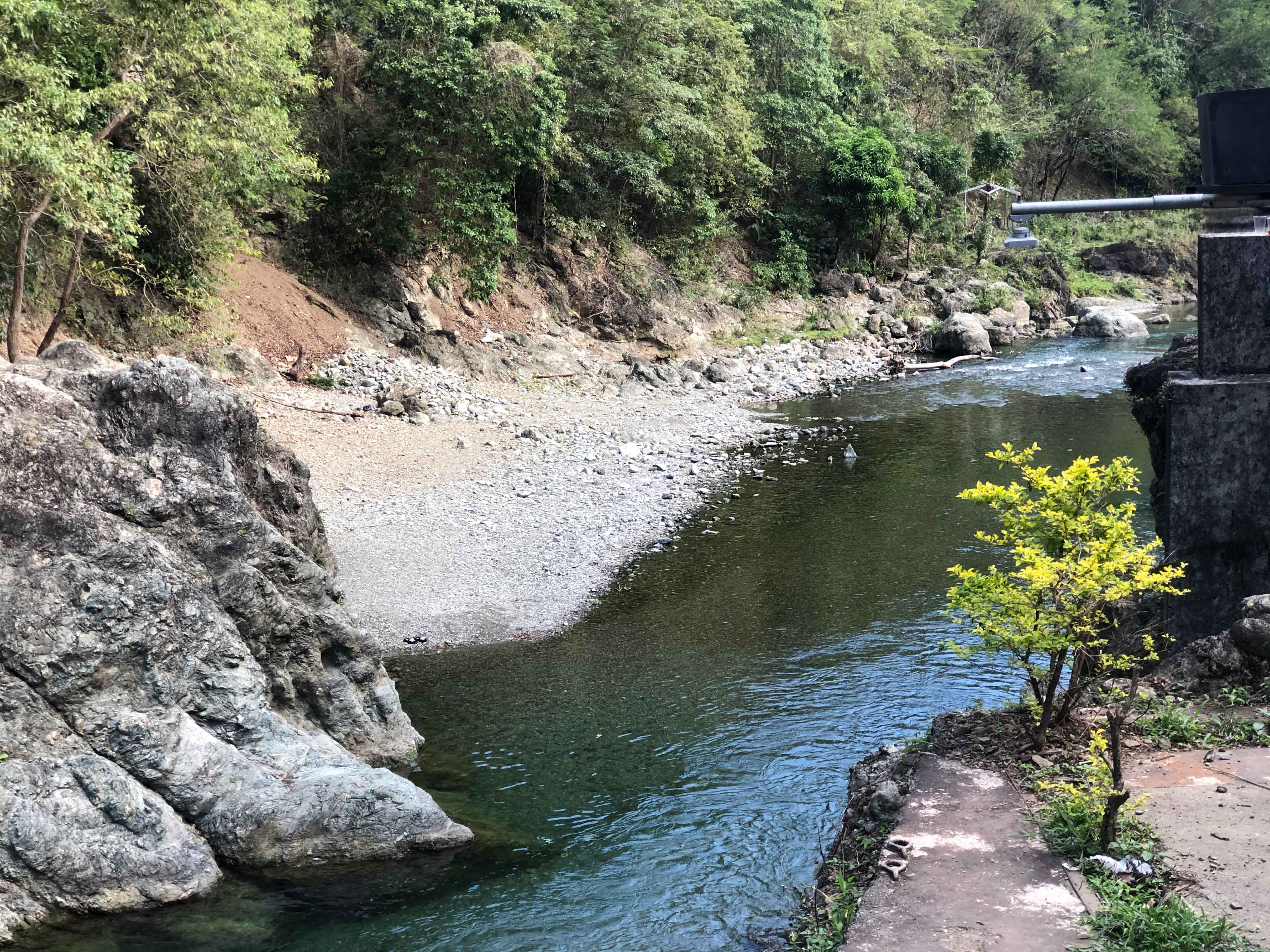 Reggae Falls - Image 5