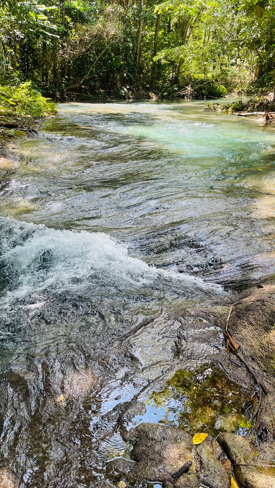 Thatch Hill River Park - Image 6