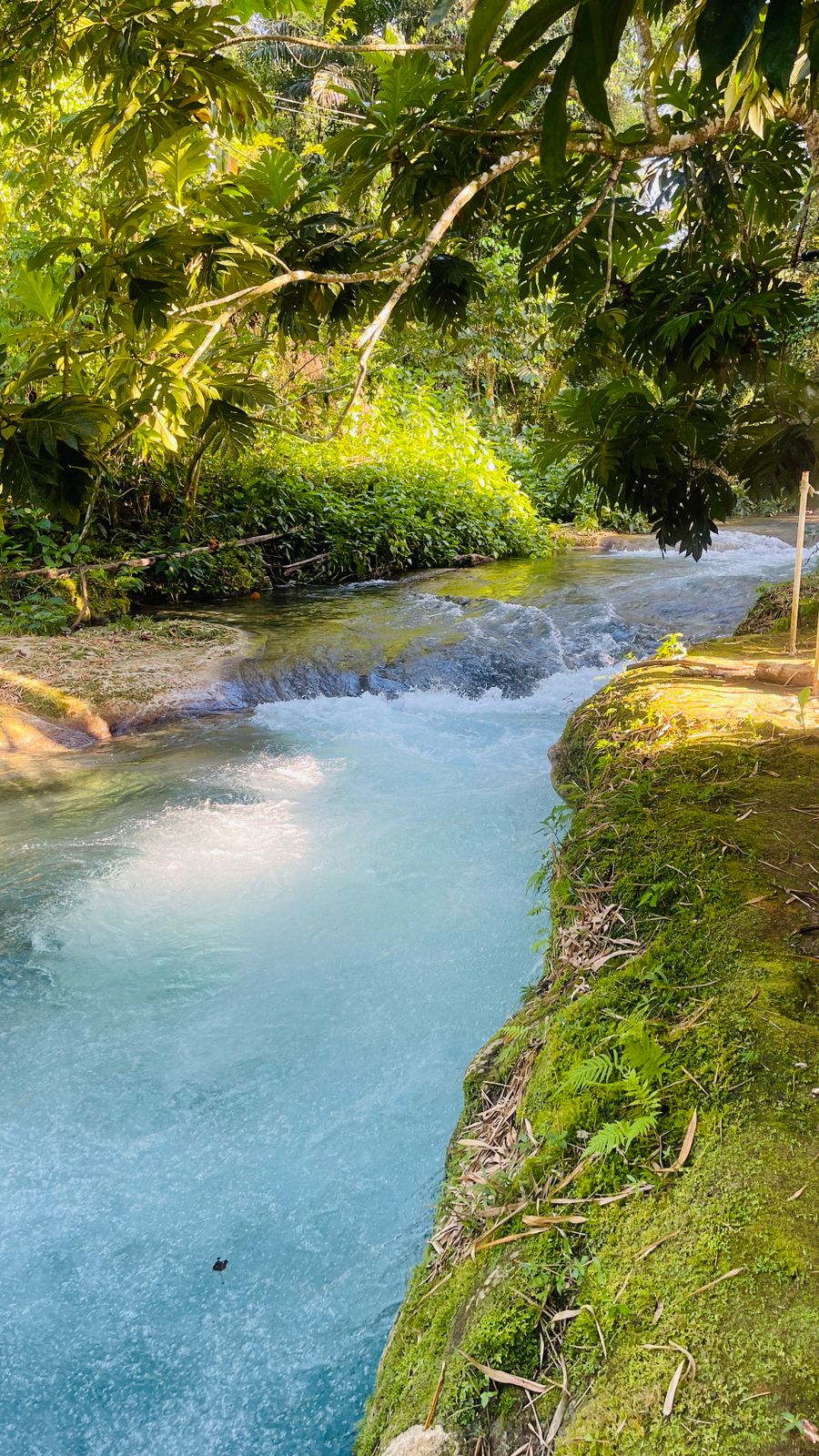 Thatch Hill River Park - Image 8