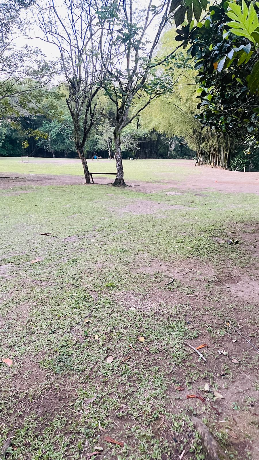Thatch Hill River Park - Image 4