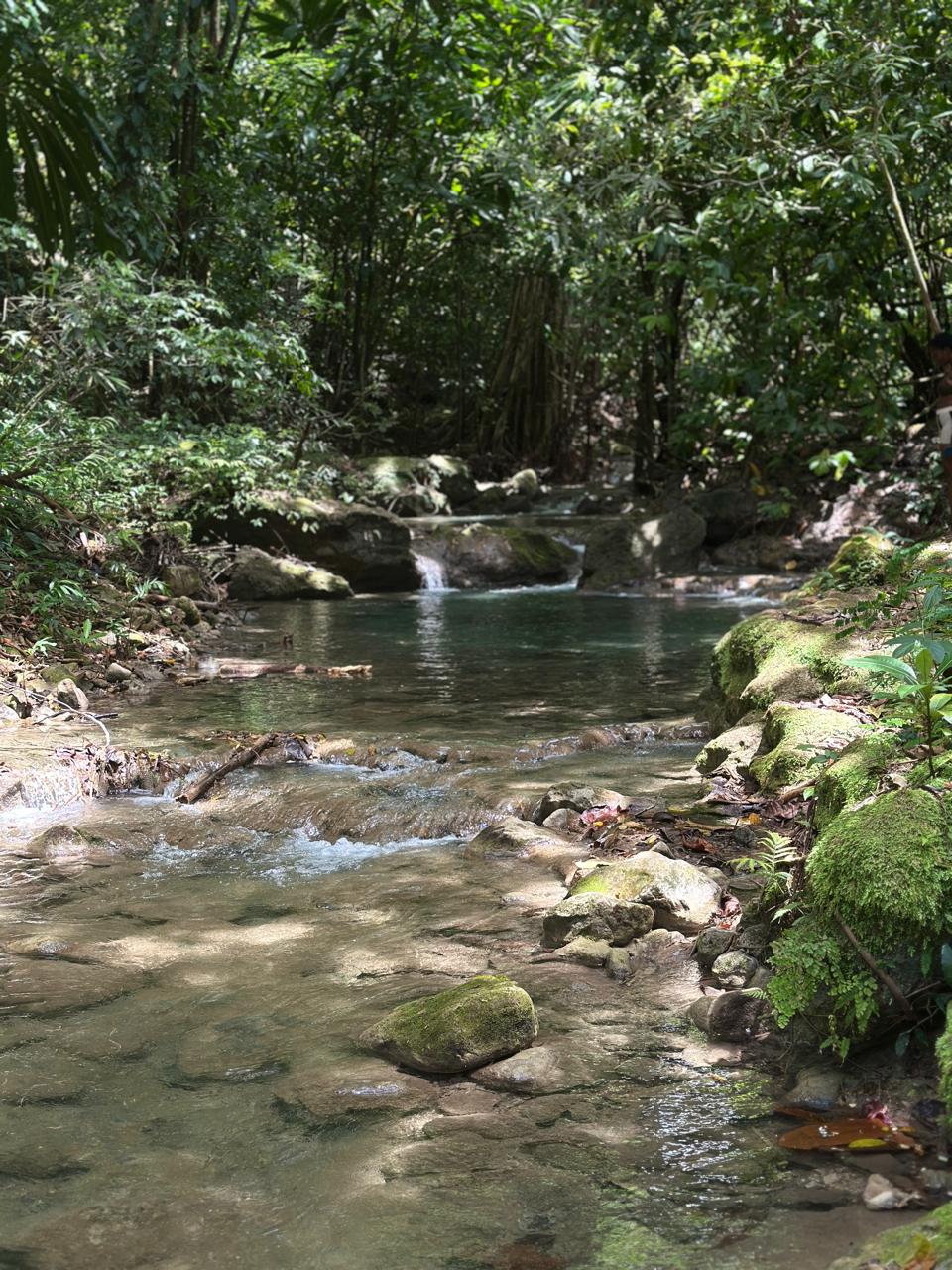 Twin Sisters River - Image 6