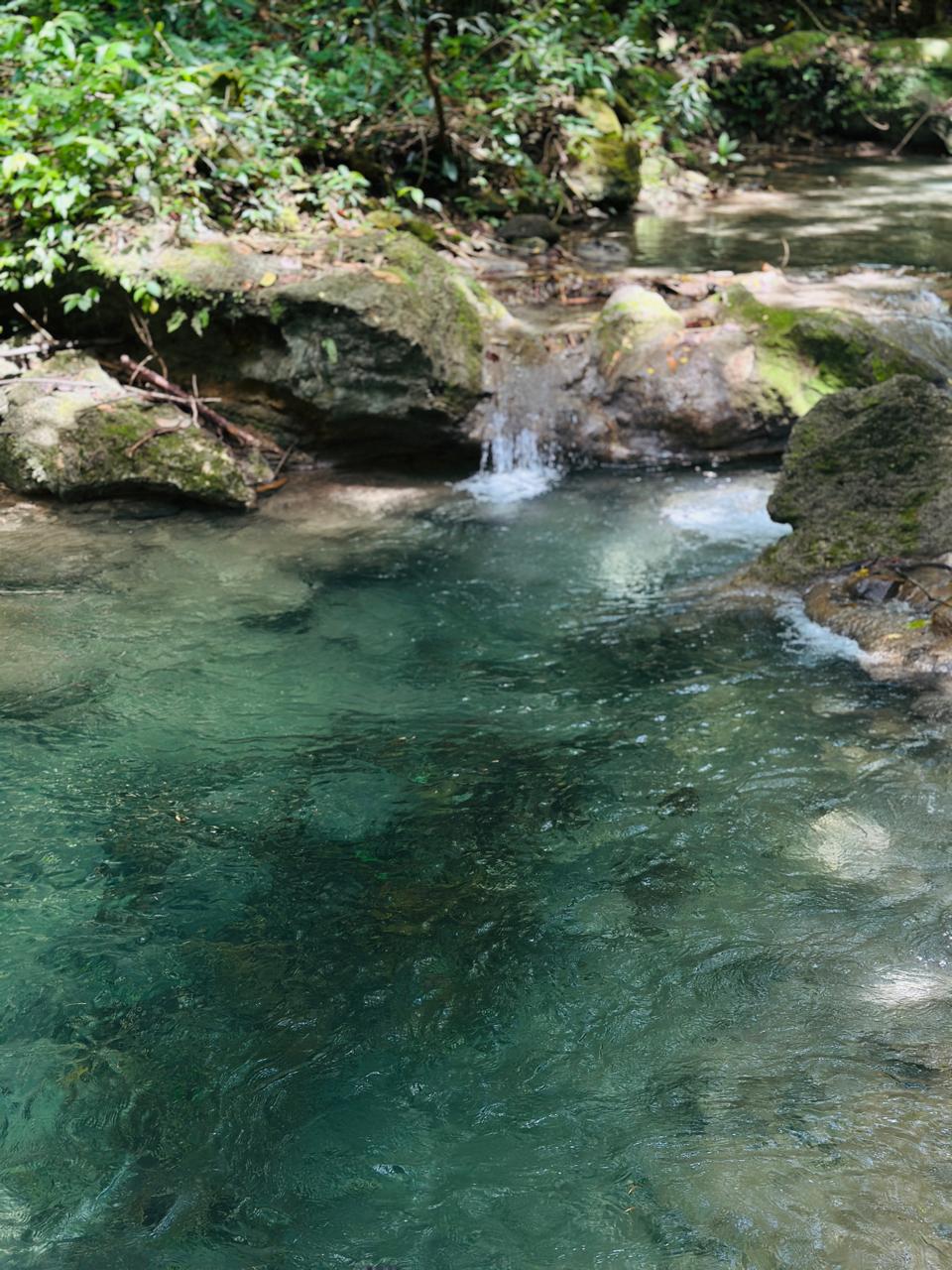 Twin Sisters River - Image 10