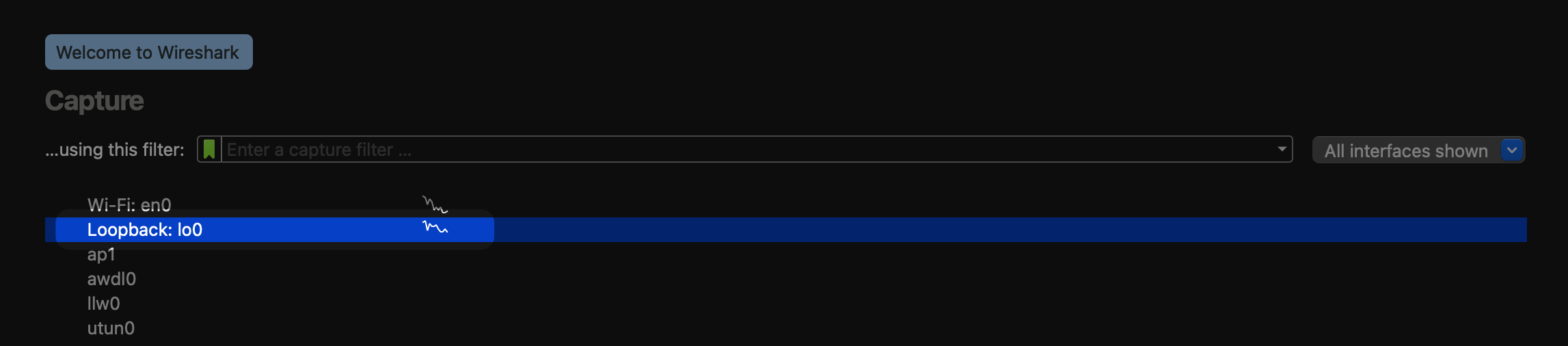 Wireshark Loopback 介面