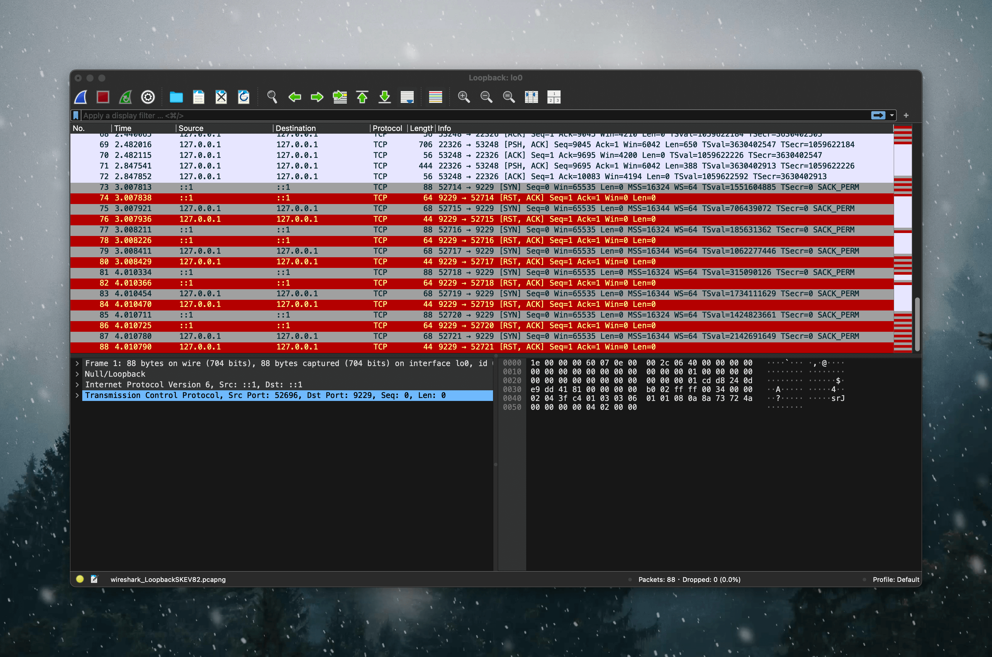 Wireshark 監控網路流量