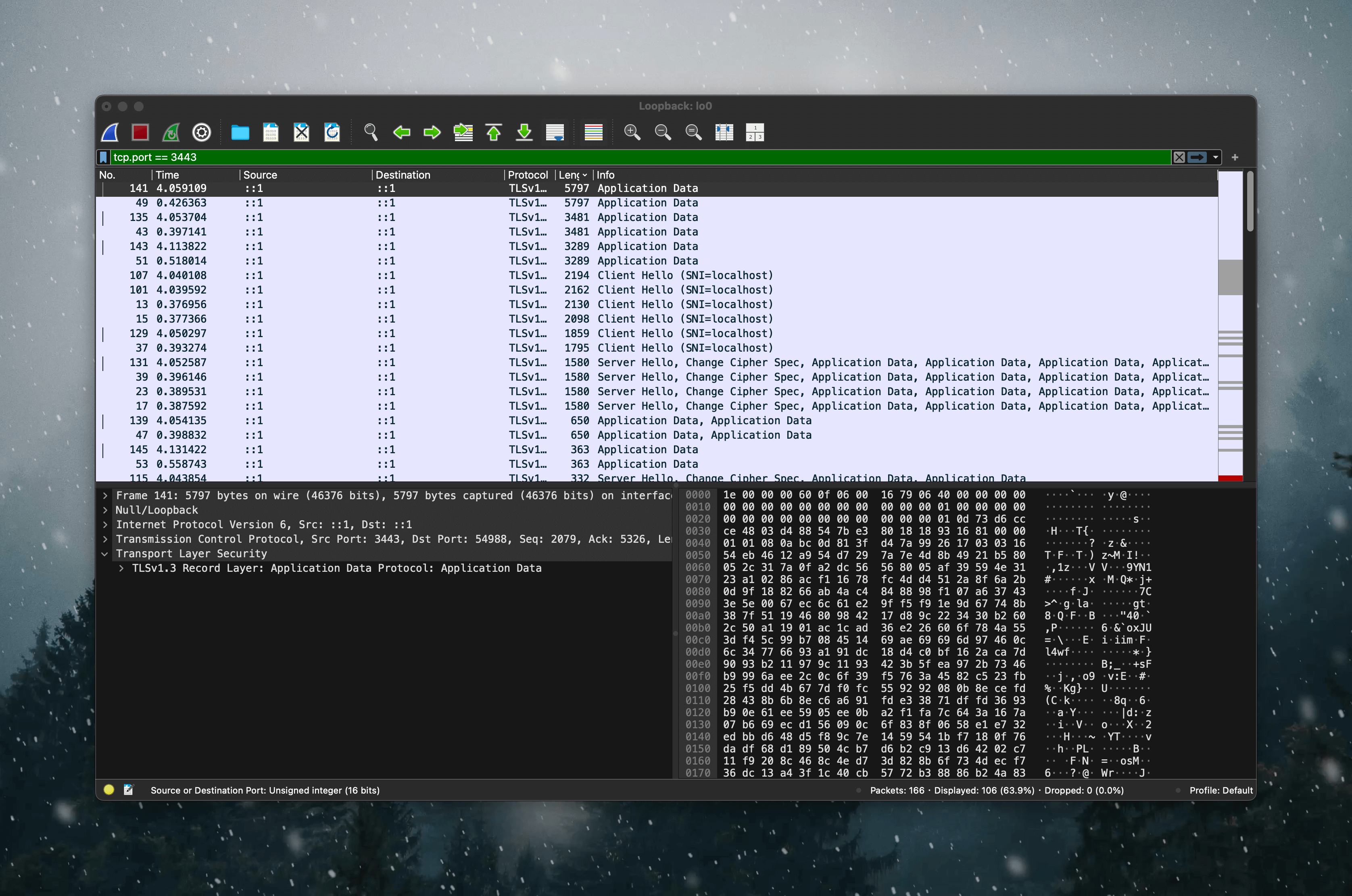 Wireshark HTTPS 封包內容
