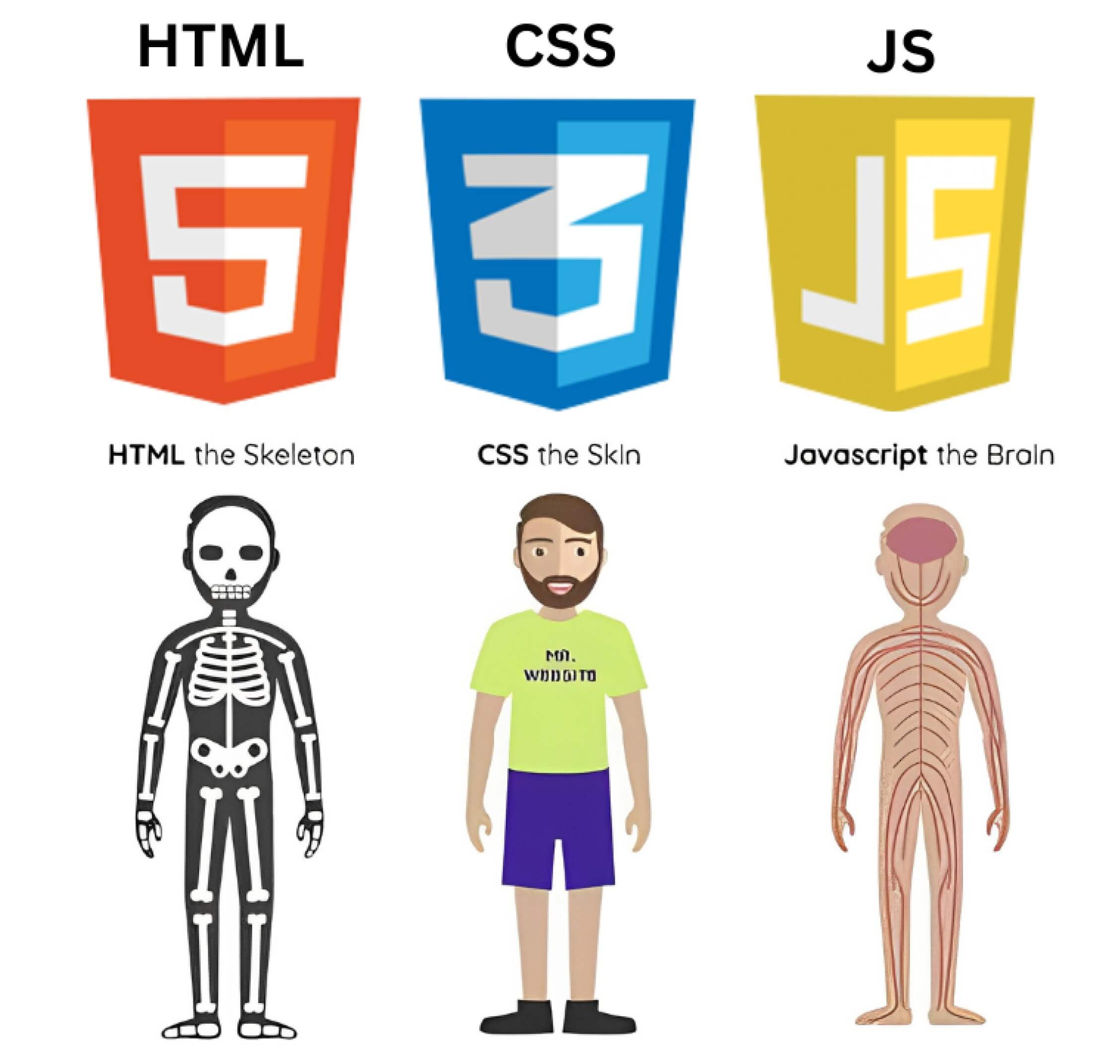 HTML 、CSS、JavaScript 三者關係圖