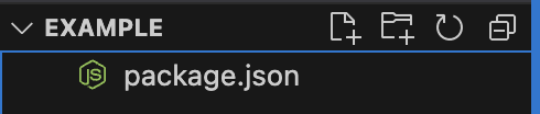 package.json