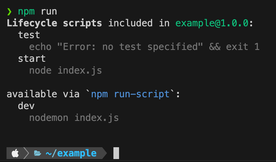 npm run