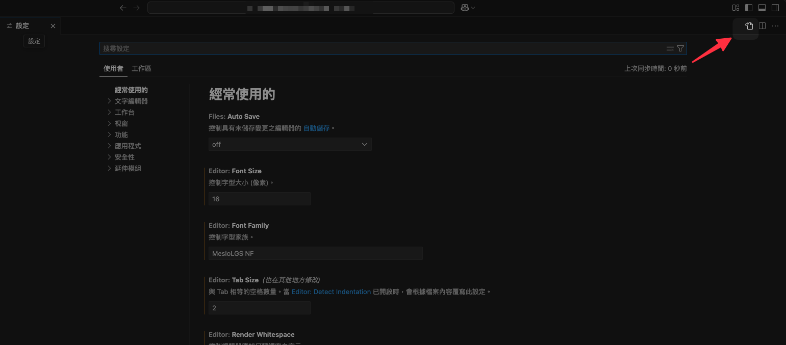 setting.json