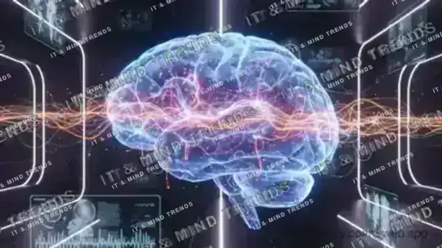 수면 시간을 줄일수록 감정 회로가 태워지는 이유