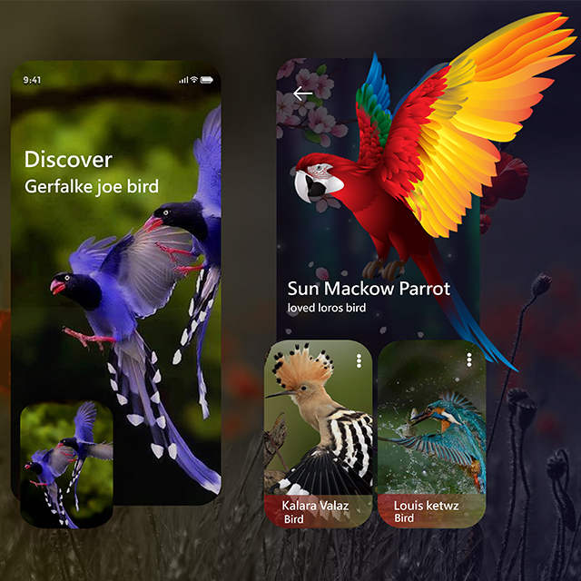 Birds Love Mobile Design App
