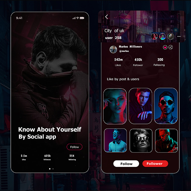 Social App Profile UI