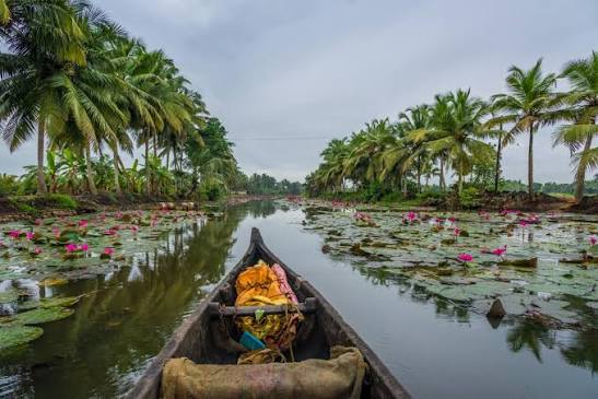 Kumarakom
