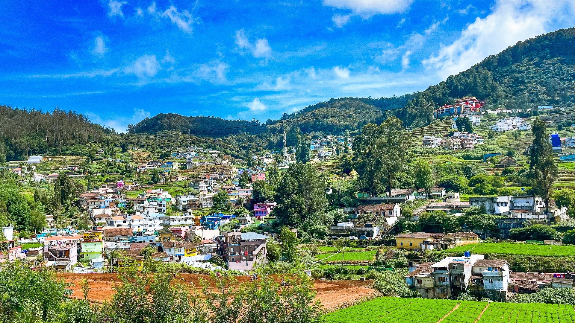 Ooty 